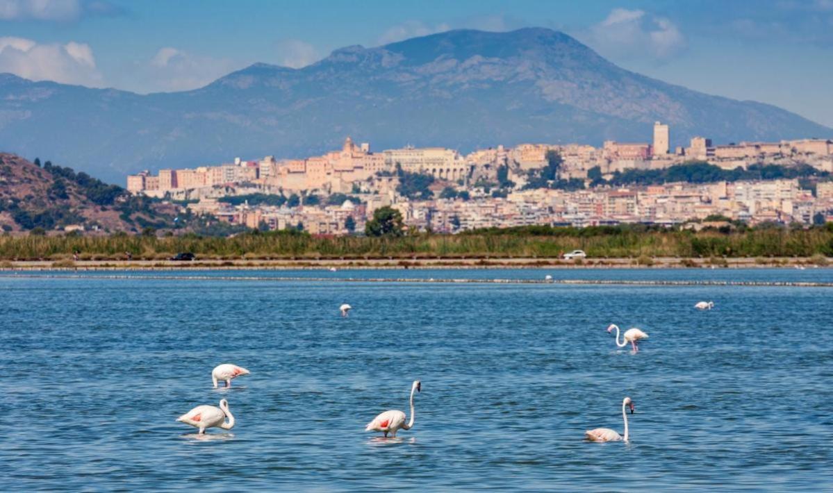クアルトゥ・サンテーレナSardegna Relaxアパートメント エクステリア 写真